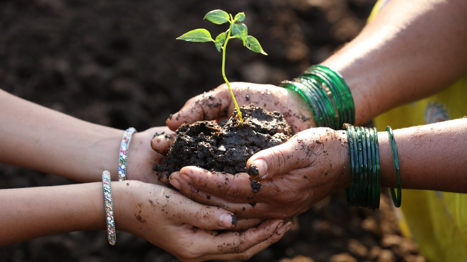 Platformă europeană pentru promovarea femeilor în agricultură Comisia Europeană a lansat o platformă dedicată promovării femeilor în agricultură