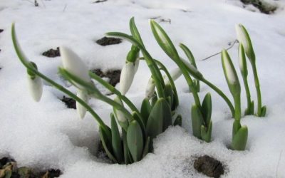 Semnificații și tradiții în primele zile ale lunii martie Începutul lunii martie, odată cu sosirea primăverii, este încărcat de semnificații și obiceiuri în folclorul românesc