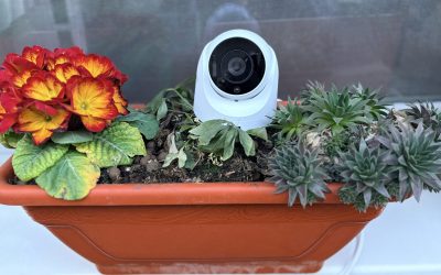 Synology TC500: O cameră de supraveghere inteligentă cu accent pe ușurința în utilizare Synology a lansat modelul TC500, o cameră de supraveghere de tip turret, cu un design compact și multiple funcții inteligente
