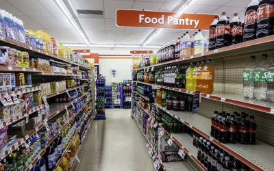 Institutul de Igienă și Sănătate Publică Veterinară (IISPV) demarează implementarea unui sistem de management calitativ conform standardului internațional SR EN ISO/IEC 17043:2023, concomitent cu inițierea procesului de acreditare