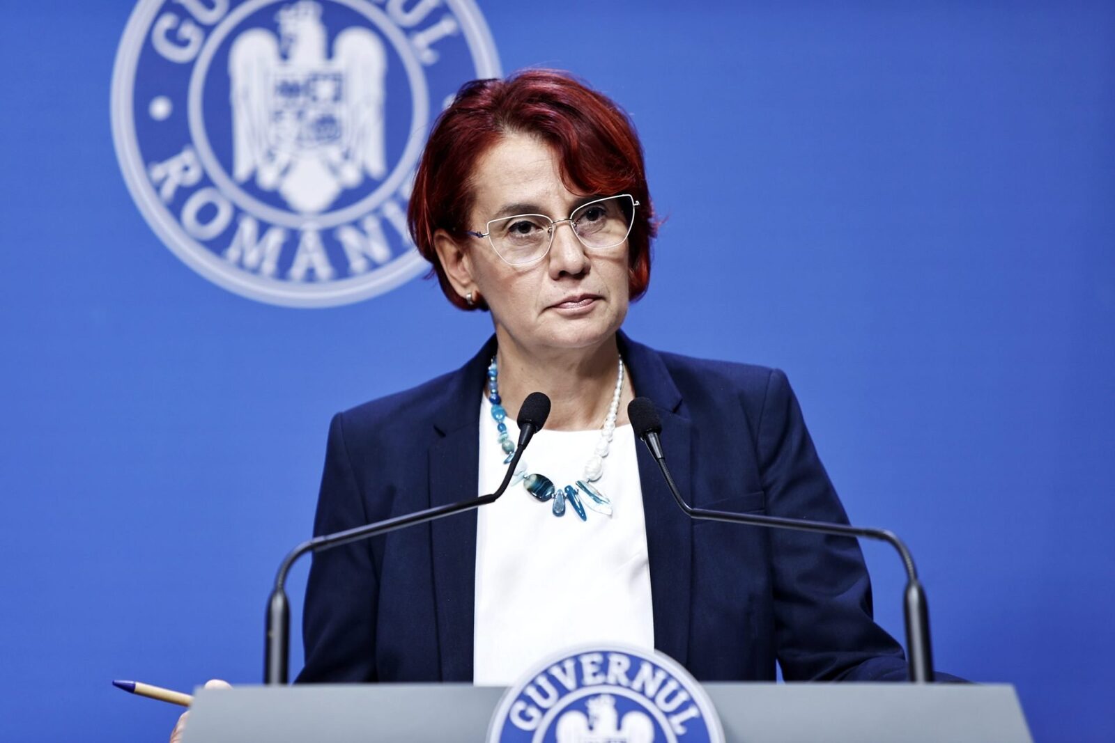 Guvernul, acord pentru parteneriatul UE-Mercosur