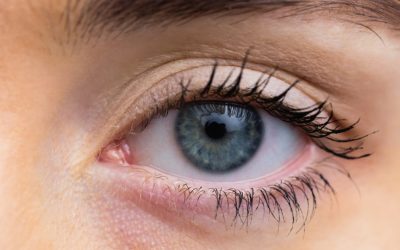 Cornee artificială din solzi de pește: o speranță pentru pacienții cu probleme severe ale ochilor O echipă de cercetători de la Universitatea din Granada a dezvoltat o cornee artificială realizată din solzi de pește, deschizând o nouă perspectivă pentru tratamentul afecțiunilor oculare severe