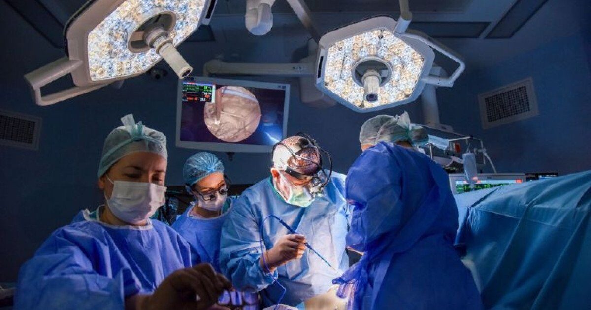 Un pacient de 72 de ani, salvat de o echipă medicală din București în urma unor afecțiuni cardiovasculare severe Mihai, un bărbat de 72 de ani, a trecut printr-o serie de intervenții chirurgicale complexe pentru a trata afecțiuni cardiovasculare severe