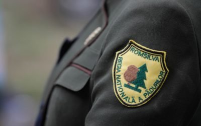 Reorganizarea Romsilva: 19 direcții regionale în locul celor 41 județene Guvernul a aprobat reorganizarea Regiei Naționale a Pădurilor – Romsilva, o măsură care prevede o schimbare majoră în structura instituției