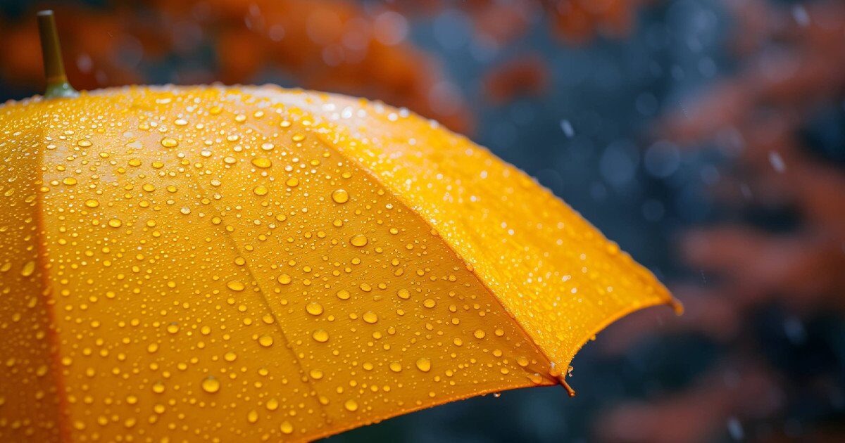 Vremea se menține stabilă până la finalul lunii aprilie, dar cu diferențe regionale semnificative București, 27 martie 2026 – Meteorologii anunță o vreme în general normală pentru această perioadă, până la sfârșitul lunii aprilie