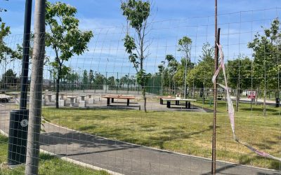 Timișoara investește în sport: 30 de școli vor beneficia de mese de ping-pong Municipalitatea din Timișoara extinde infrastructura sportivă în școli, prin instalarea a 34 de mese de ping-pong în curțile unităților de învățământ