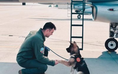 Pilot militar, decedat în urma unei misiuni de salvare la Borcea Un tragic eveniment a avut loc la Baza 86 Aeriană „Locotenent Aviator Gheorghe Mociorniță” din Borcea, Călărași