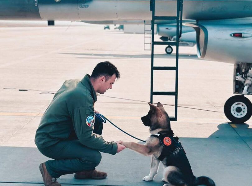 Pilot militar, decedat în urma unei misiuni de salvare la Borcea Un tragic eveniment a avut loc la Baza 86 Aeriană „Locotenent Aviator Gheorghe Mociorniță” din Borcea, Călărași