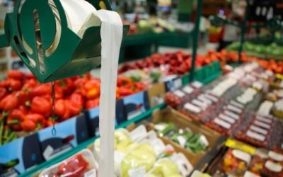 Ministrul Agriculturii cere investigații privind adaosurile la alimente Florin Barbu, ministrul Agriculturii, a solicitat Consiliului Concurenței să investigheze adaosurile comerciale de pe lanțul de aprovizionare cu alimente, care ar putea afecta fermierii români și consumatorii