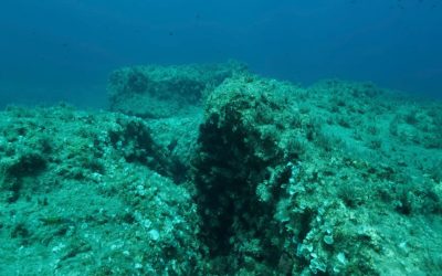 Controverse în cercetare: Studiu despre „oxigenul întunecat” din adâncuri, contestat dur de colegi Un studiu științific din 2024, care descria o sursă inedită de oxigen în mările adânci, denumită „oxigen întunecat”, este contestat vehement de alți cercetători