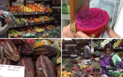 Fructele exotice cuceresc România: Aprozarele clasice, transformate în afaceri cu gust exotic Afacerile cu fructe exotice câștigă teren în România, demonstrând o schimbare în preferințele consumatorilor