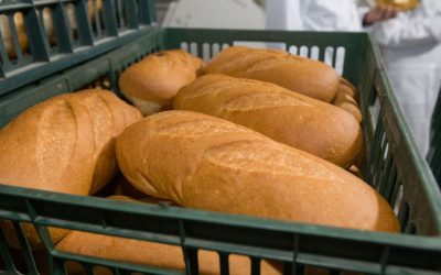 Vel Pitar retrage pâine de pe piață după depistarea unui corp străin Autoritatea Națională Sanitară Veterinară și pentru Siguranța Alimentelor (ANSVSA) a anunțat retragerea de pe piață a unor loturi de pâine produse de Vel Pitar România