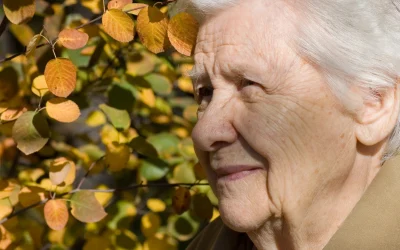 Probleme majore la pensionare: Zeci de mii de români riscă să-și piardă vechimea în muncă din cauza carnetelor pierdute Accesul la pensie devine o provocare majoră pentru mulți români, din cauza dificultăților în dovedirea vechimii în muncă realizată înainte de digitalizarea sistemului