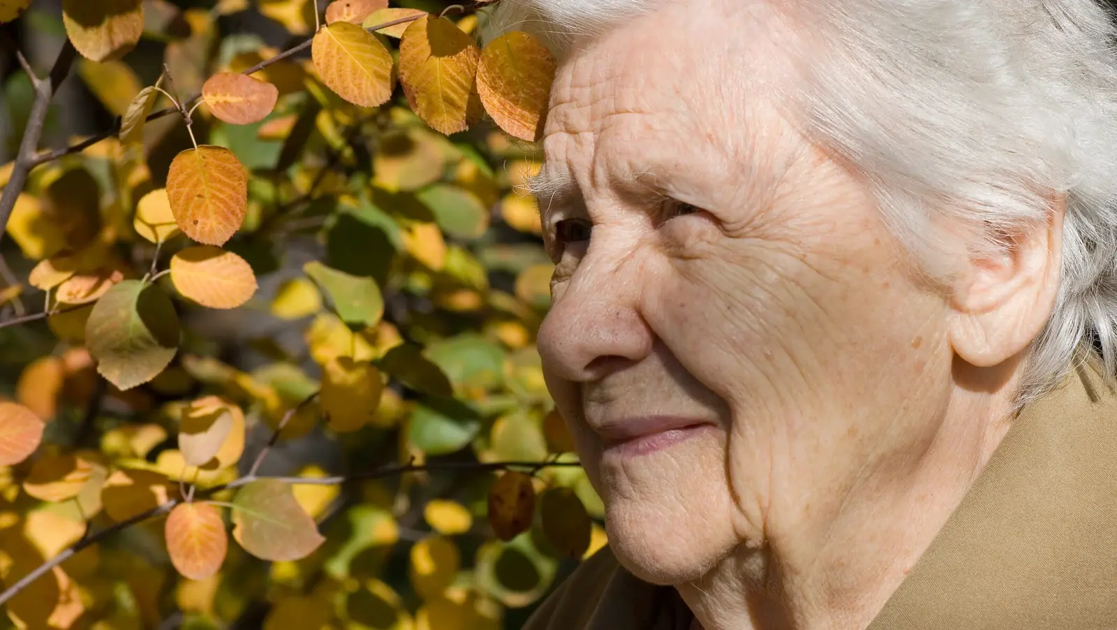Probleme majore la pensionare: Zeci de mii de români riscă să-și piardă vechimea în muncă din cauza carnetelor pierdute Accesul la pensie devine o provocare majoră pentru mulți români, din cauza dificultăților în dovedirea vechimii în muncă realizată înainte de digitalizarea sistemului
