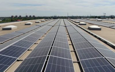 Fondul suveran al Norvegiei investește masiv în energie regenerabilă în SUA Cel mai mare fond suveran de investiții din lume, cel al Norvegiei, a intrat pe piața de energie regenerabilă din Statele Unite, anunțând o investiție semnificativă într-un portofoliu impresionant de centrale solare și eoliene