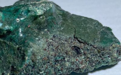 Țestoasele marine, amenințate de „roci de plastic” pe o insulă izolată din Brazilia O insulă vulcanică izolată din Brazilia, cunoscută drept un paradis pentru țestoasele marine, se confruntă cu o amenințare neașteptată