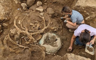 Tezaure impresionante din epoca fierului, descoperite în anglia: o posibila ceremonie funerară regală Arheologii au descoperit două tezaure vaste din epoca fierului în nordul Angliei, alcătuite din arme metalice arse, vase și componente de care sau căruțe