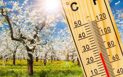 Vremea de paște: Prognoza meteo pe regiuni. Ce ne așteaptă în România?