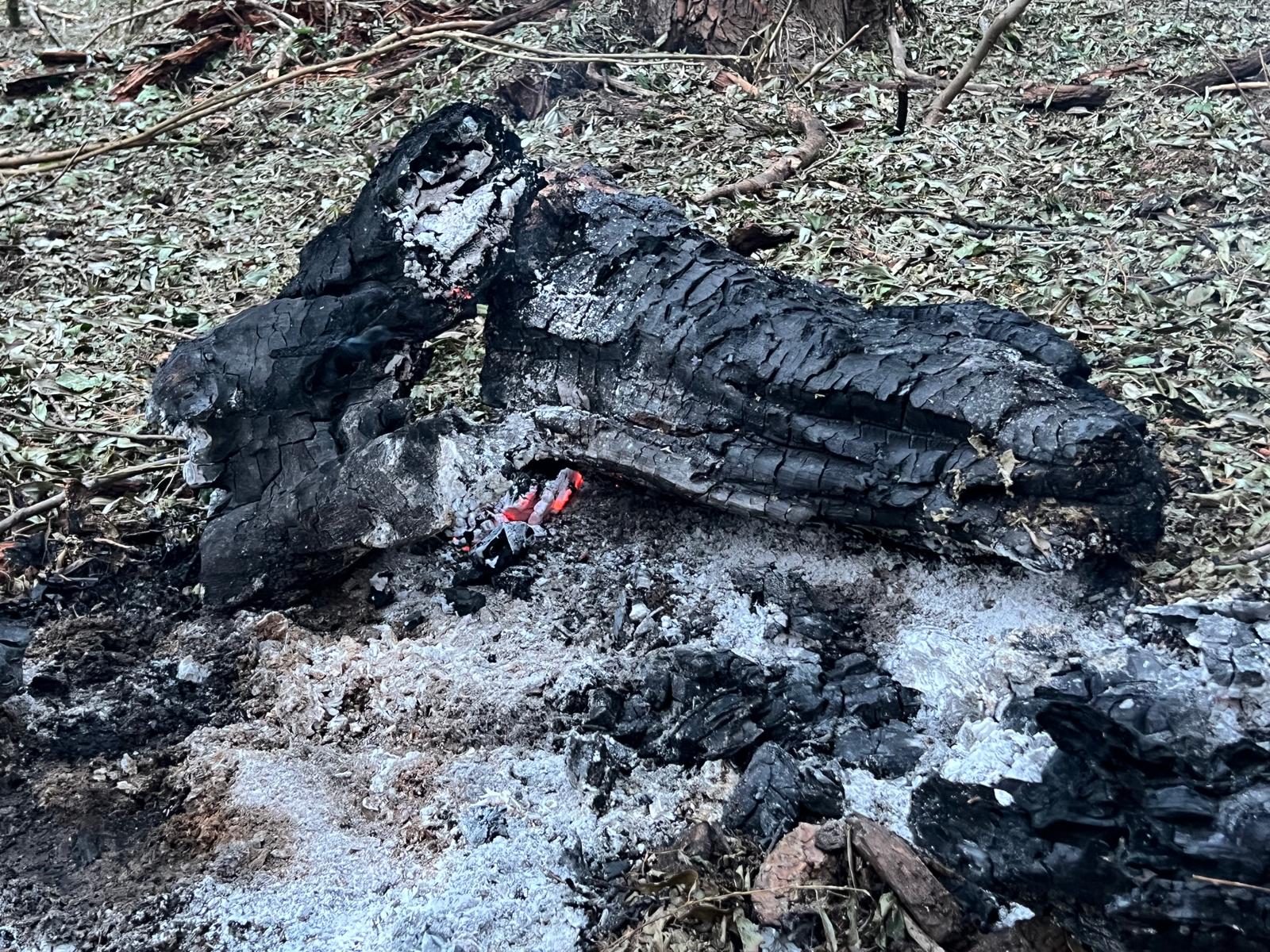 Avioanele militare au avut permisiunea să atace țintele aeriene detectate în apropierea graniței cu Ucraina, conform declarațiilor ministrului Apărării, Radu Miruță