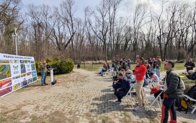 Pădurea Băneasa, pe cale să devină parc natural protejat Pădurea Băneasa, o importantă zonă verde a Capitalei, este pe cale să devină arie naturală protejată de interes național