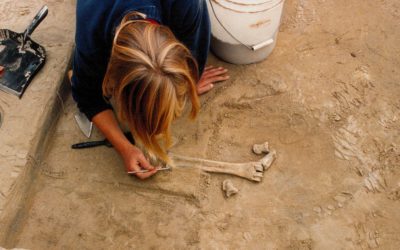 Descoperire în Alaska: Uneltele de fildeș care rescriu istoria primilor oameni din America O descoperire majoră în Alaska ar putea schimba teoriile despre modul în care primii oameni au ajuns în Americi