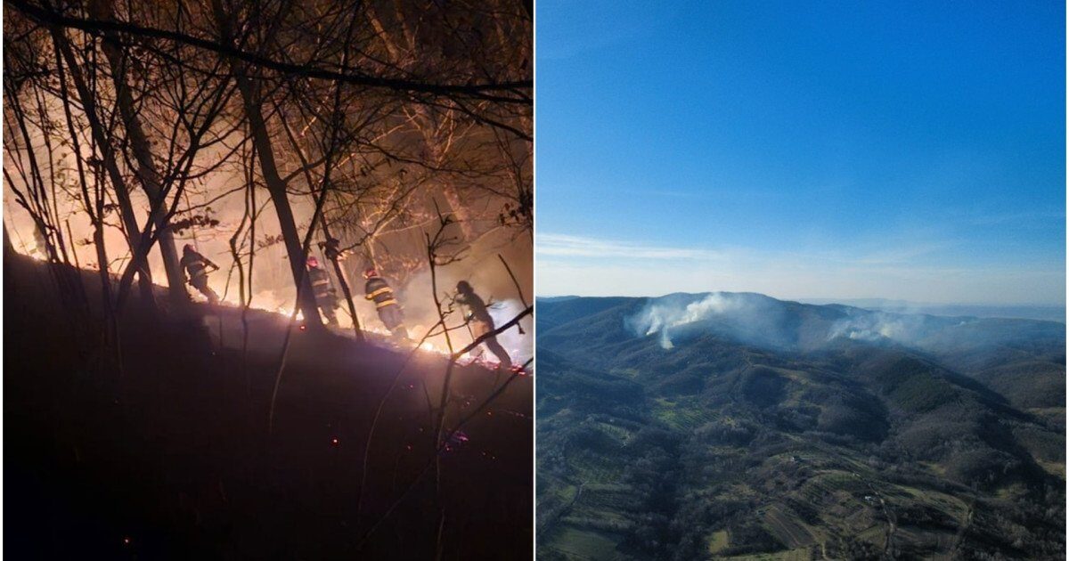 Incendii puternice fac ravagii în Maramureș și Satu Mare, autoritățile intervin Pompierii din județele Maramureș și Satu Mare luptă pentru a stinge incendii de vegetație de amploare, care au distrus zeci de hectare de teren