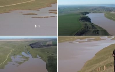 Lacul secat din Olt, refăcut de ploi. Apar primele păsări