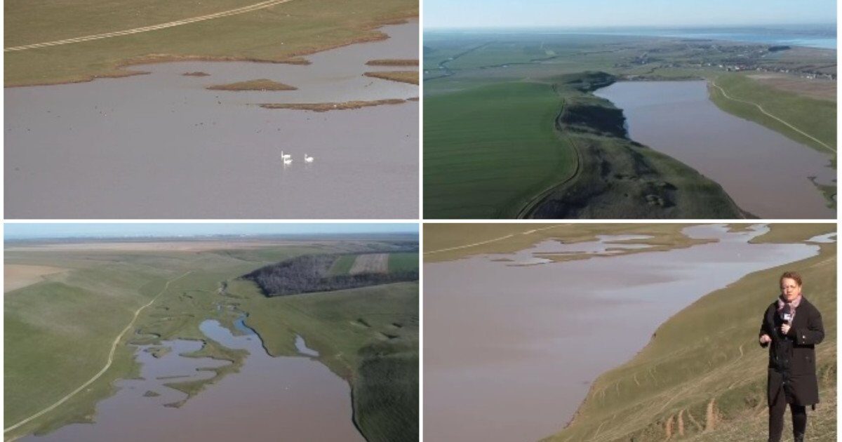 Lacul secat din Olt, refăcut de ploi. Apar primele păsări