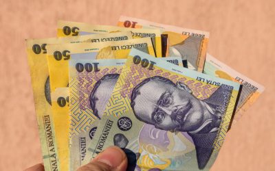 Indemnizația de însoțitor, sprijin financiar pentru persoanele cu dizabilități grave Indemnizația de însoțitor reprezintă un ajutor financiar lunar destinat persoanelor cu handicap grav, care necesită asistență permanentă pentru a-și desfășura activitățile zilnice