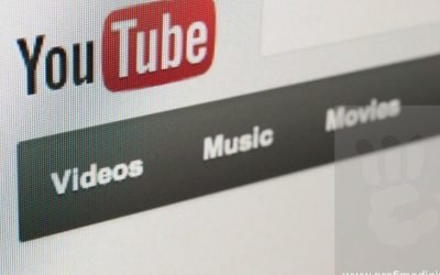 YouTube extinde sistemul de detectare a deepfake-urilor pentru jurnaliști și oficiali publici Platforma YouTube își extinde instrumentul de identificare a conținutului generat de inteligența artificială, numit Likeness ID