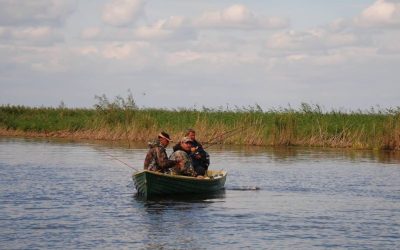 Aproape jumătate din pescarii din Delta Dunării riscă să rămână fără autorizație Aproximativ 40% dintre pescarii comerciali autorizați în Delta Dunării se confruntă cu riscul de a-și pierde dreptul de a pescui