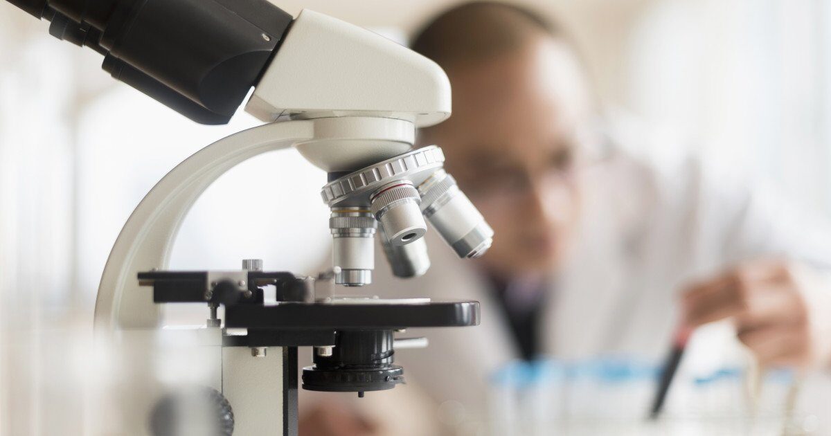 Un nou anticorp uman blochează virusul Epstein-Barr, asociat cu scleroza multiplă și cancerul Cercetătorii americani au dezvoltat un anticorp monoclonal uman care oprește infecția cu virusul Epstein-Barr (EBV) în modele preclinice
