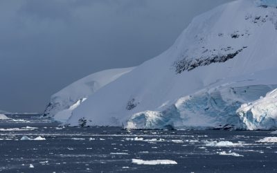 Antarctica: Banchiza se reface în 2026, după declin record