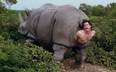 Rinocerul din ace ventura, scos la licitație. Cât valorează piesa iconică?