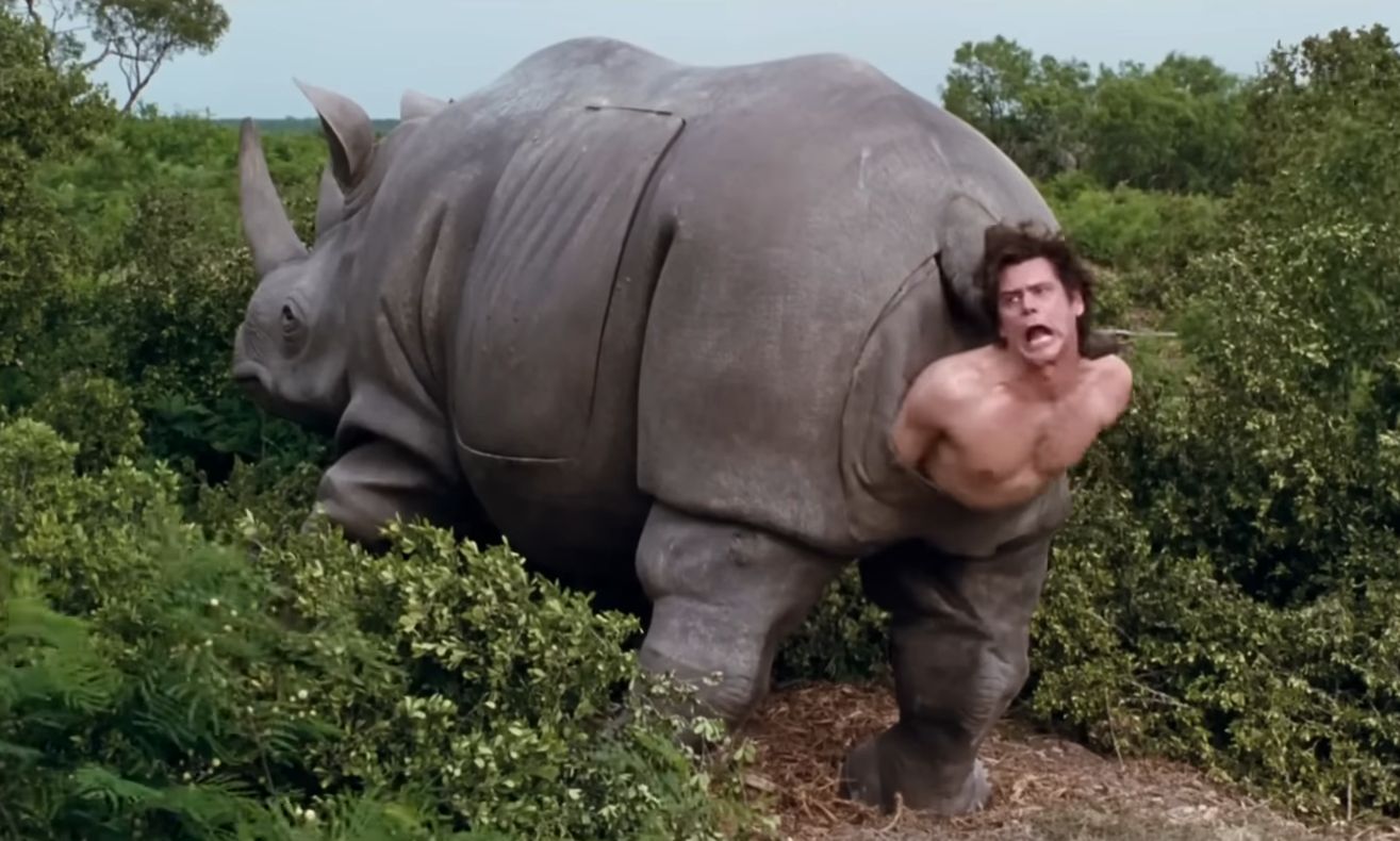 Rinocerul din ace ventura, scos la licitație. Cât valorează piesa iconică?