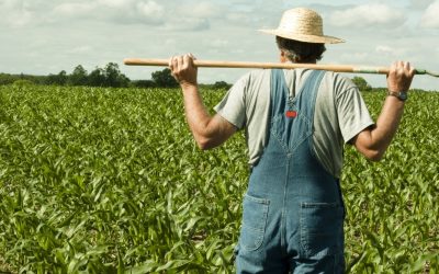 Criza din Golf și scumpirea motorinei: Fermierii cer măsuri urgente guvernului Alianța pentru Agricultură și Cooperare solicită Guvernului României, în regim de urgență, adoptarea unor măsuri pentru a sprijini fermierii afectați de criza economică generată de conflictul din Golf și de creșterea prețului motorinei