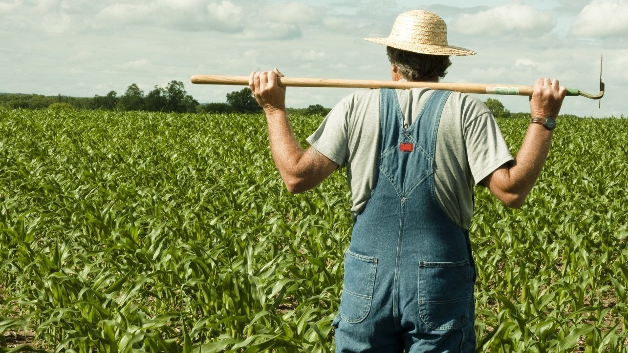 Criza din Golf și scumpirea motorinei: Fermierii cer măsuri urgente guvernului Alianța pentru Agricultură și Cooperare solicită Guvernului României, în regim de urgență, adoptarea unor măsuri pentru a sprijini fermierii afectați de criza economică generată de conflictul din Golf și de creșterea prețului motorinei
