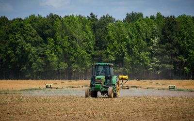 Motorina subvenționată pentru fermieri: MADR propune un nou ajutor de stat Ministerul Agriculturii și Dezvoltării Rurale (MADR) a publicat vineri, în dezbatere publică, un proiect de ordonanță de urgență care vizează acordarea de subvenții pentru motorina utilizată de fermieri