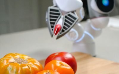 UE lansează o platformă AI pentru combaterea fraudelor alimentare și a bolilor Comisia Europeană a pus la dispoziție o nouă platformă bazată pe inteligență artificială, denumită TraceMap, care are ca scop accelerarea detectării fraudelor alimentare, a produselor contaminate și a focarelor de toxiinfecție în Uniunea Europeană