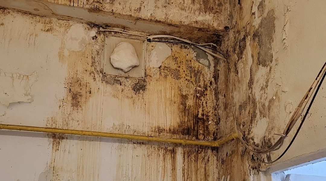 ANPC: Controalele din martie au scos la iveală nereguli majore în bucătăriile din România Bucătării insalubre, produse alimentare depășite și amenzi usturătoare