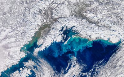 Ghețar antarctic, cea mai rapidă prăbușire din istorie, consemnată (63 caractere)