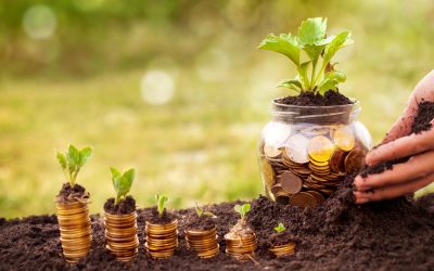 MADR clarifică: Plățile restante la bugetul local nu pot condiționa accesarea ajutoarelor de minimis Ministerul Agriculturii și Dezvoltării Rurale (MADR) a intervenit într-o problemă apărută la nivel local, precizând că autoritățile nu pot impune beneficiarilor de ajutoare de minimis să achite datoriile către bugetul local pentru a primi sprijinul financiar