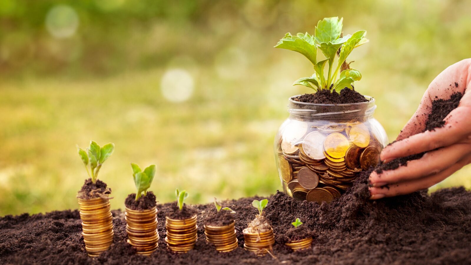MADR clarifică: Plățile restante la bugetul local nu pot condiționa accesarea ajutoarelor de minimis Ministerul Agriculturii și Dezvoltării Rurale (MADR) a intervenit într-o problemă apărută la nivel local, precizând că autoritățile nu pot impune beneficiarilor de ajutoare de minimis să achite datoriile către bugetul local pentru a primi sprijinul financiar