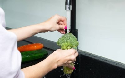 Broccoli, leguma controversată cu o istorie de peste 2.000 de ani Broccoli este adesea privit cu reticență la masă, dar este lăudat de nutriționiști pentru beneficiile sale