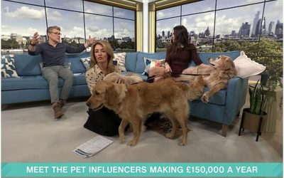 Câini influenceri: o afacere de succes care aduce sute de mii de lire sterline O femeie din Marea Britanie a reușit să transforme afecțiunea pentru câinii săi în venituri considerabile, generând venituri anuale de peste 150.000 de lire sterline