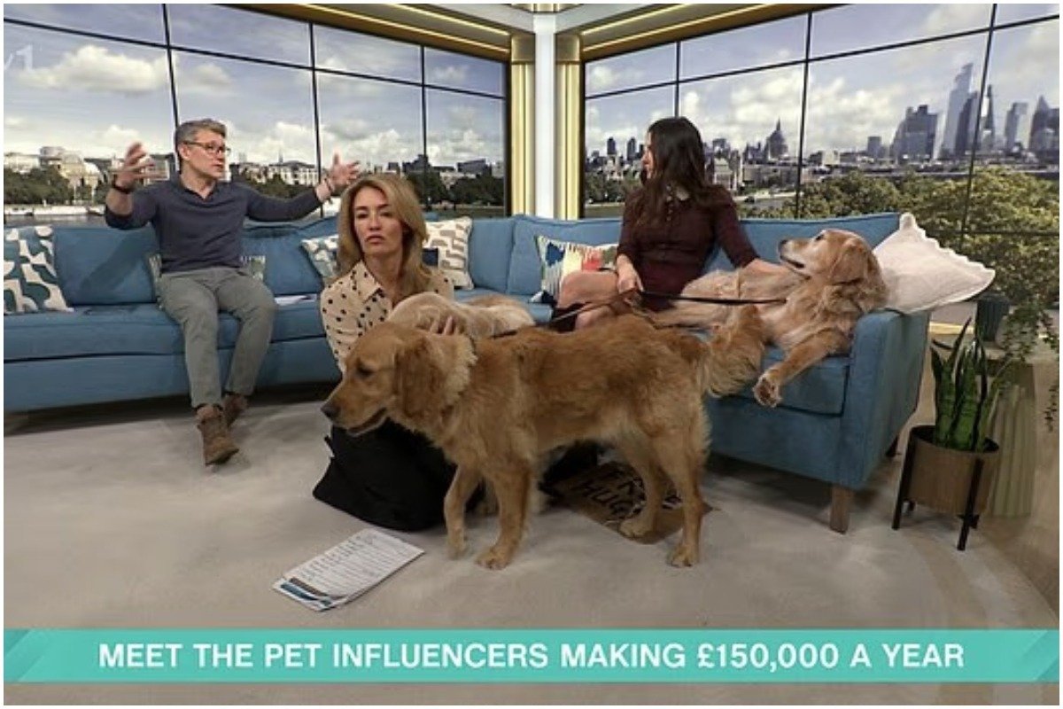 Câini influenceri: o afacere de succes care aduce sute de mii de lire sterline O femeie din Marea Britanie a reușit să transforme afecțiunea pentru câinii săi în venituri considerabile, generând venituri anuale de peste 150.000 de lire sterline