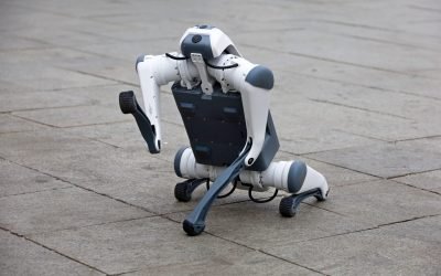 Câini-robot în patrulare cu poliția în Caracas, Venezuela
