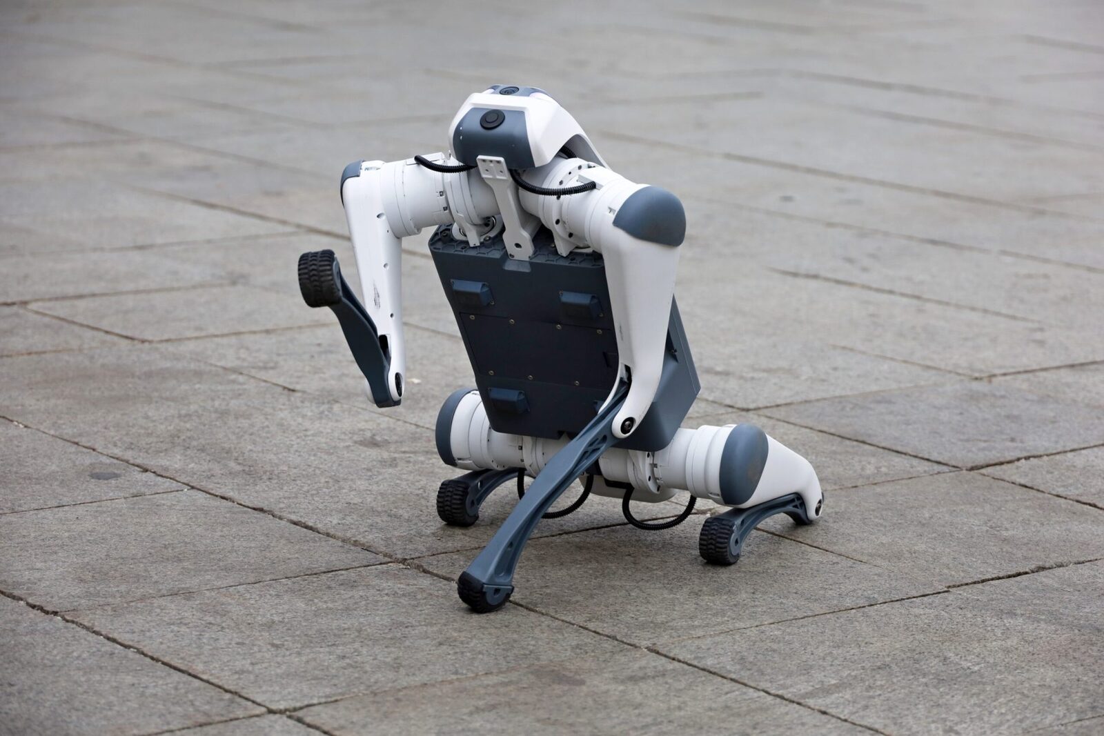Câini-robot în patrulare cu poliția în Caracas, Venezuela