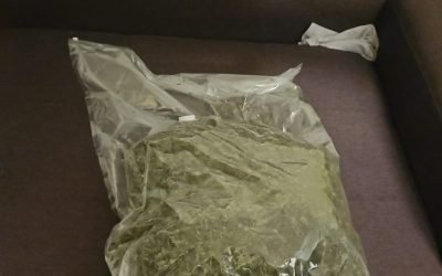 Doi kg de canabis, vânduți cu 30.000 lei: Anchetă în curs