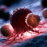 Descoperire majoră în lupta împotriva cancerului: un nou tratament pune în lumină vulnerabilitatea celulelor tumorale O echipă de cercetători de la Universitatea din Lausanne (Unil) a identificat un nou mecanism care ar putea sta la baza unui tratament eficient împotriva cancerului